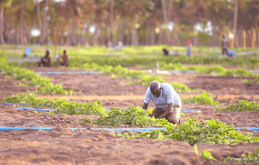 Local Farming